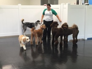 12065883_1503641706630078_2815325420709840798_n - Copy